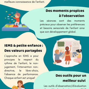 Intervention en environnements multisensoriels (IEMS) : Mieux connaître l'enfant pour l'accompagner ... et remplir des portraits périodiques de qualité! 