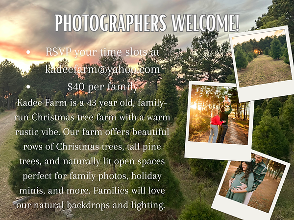 Untitled (24 x 18 in).png