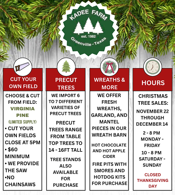 Your paragrph text (1).png