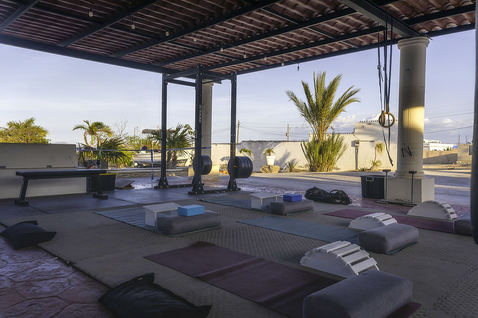 yoga studio and gym