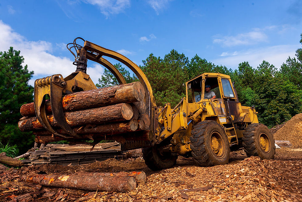 A imagem mostra uma máquina pesada, similar a um trator ou carregadeira, equipada com uma garra hidráulica segurando vários troncos de madeira.