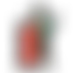 Brookside Farm Museum Report of Progress, Challenges, and Opportunities