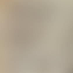 The Christian Freeman