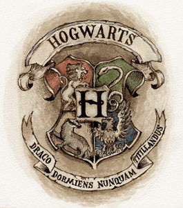 Hogwarts School