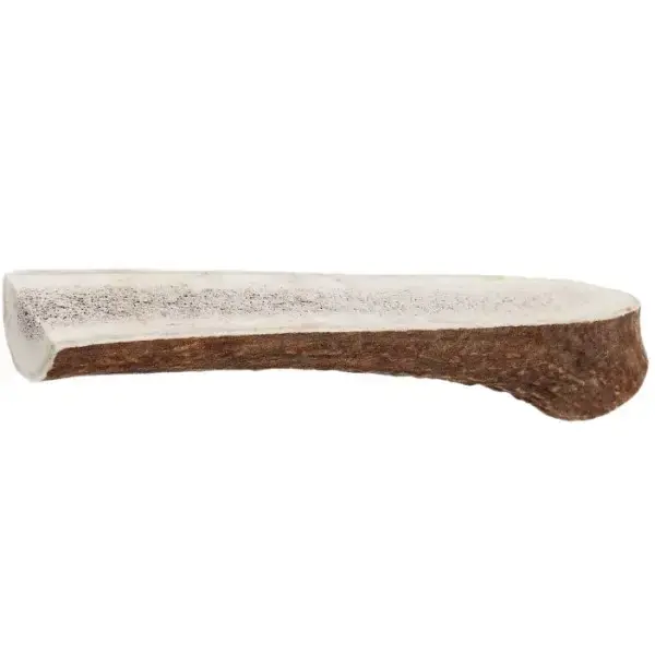Miniature : Bois de cerf