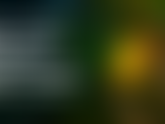 How Climate Volatility Is Reshaping Global Cashew Supply Chains 