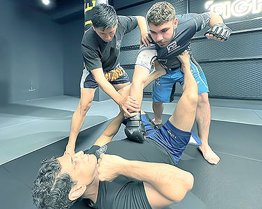 mma2 (521x521).jpg