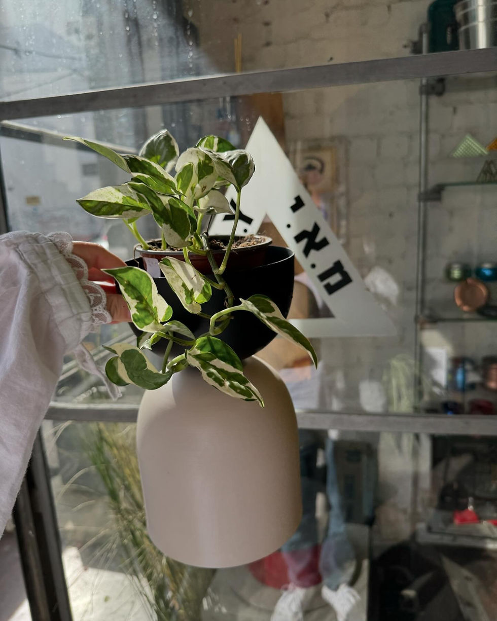 תמונה ממוזערת: כלי לעציץ
