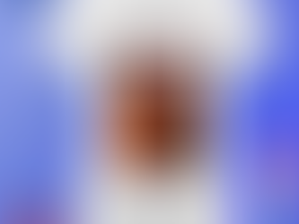 February 23 2024 formula 1 drive to survive season 6 max verstappen netflix poster 2024 shirt