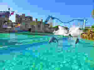 PAR