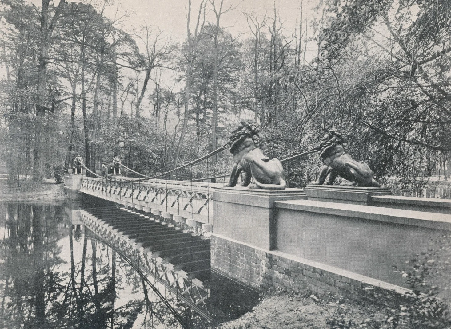 DC.FO - Tiergarten Background.webp