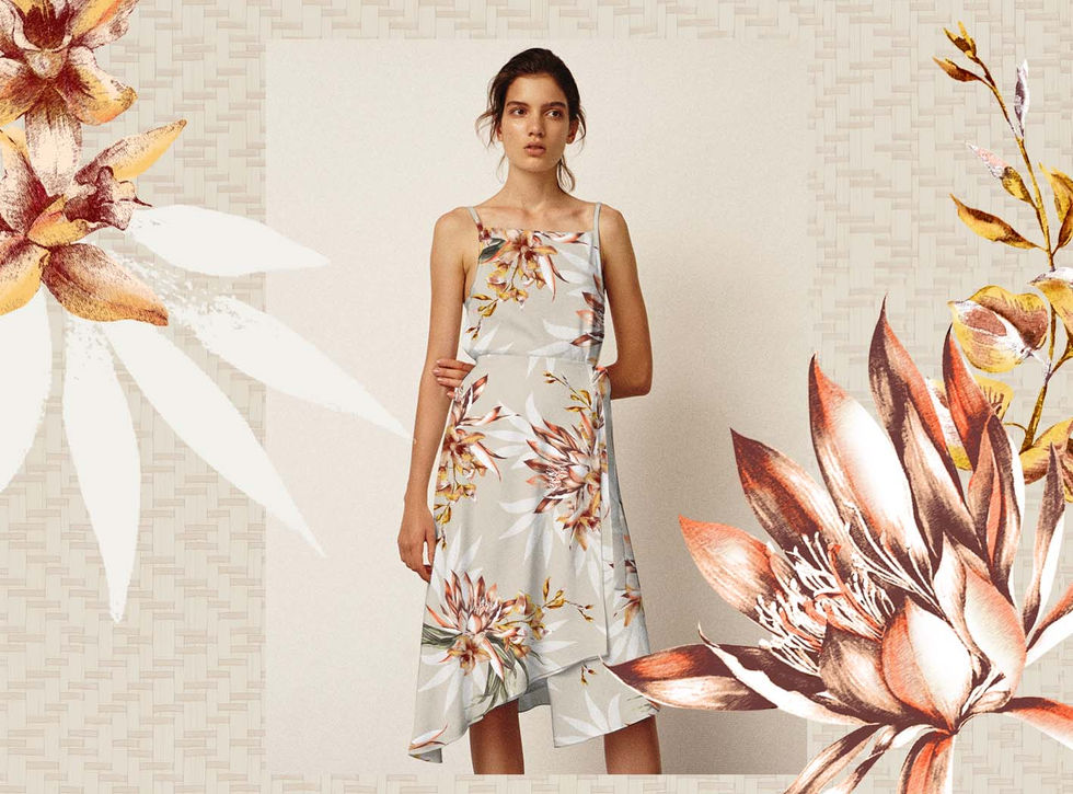 mandacaru_site copiar.jpg