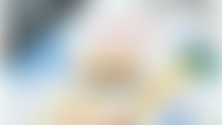 KNOW EVERY THING ABOUT GST