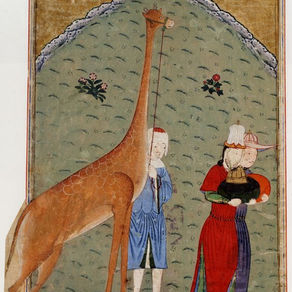 Animals in Islamic Philosophy