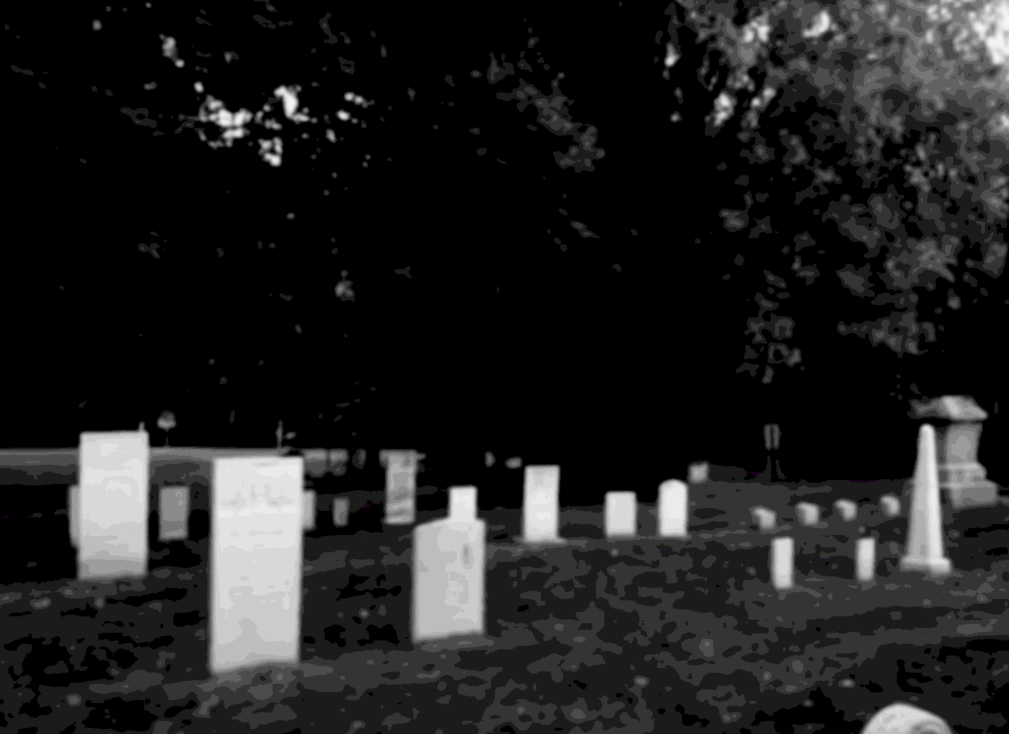 208 ZONE the 208 zone