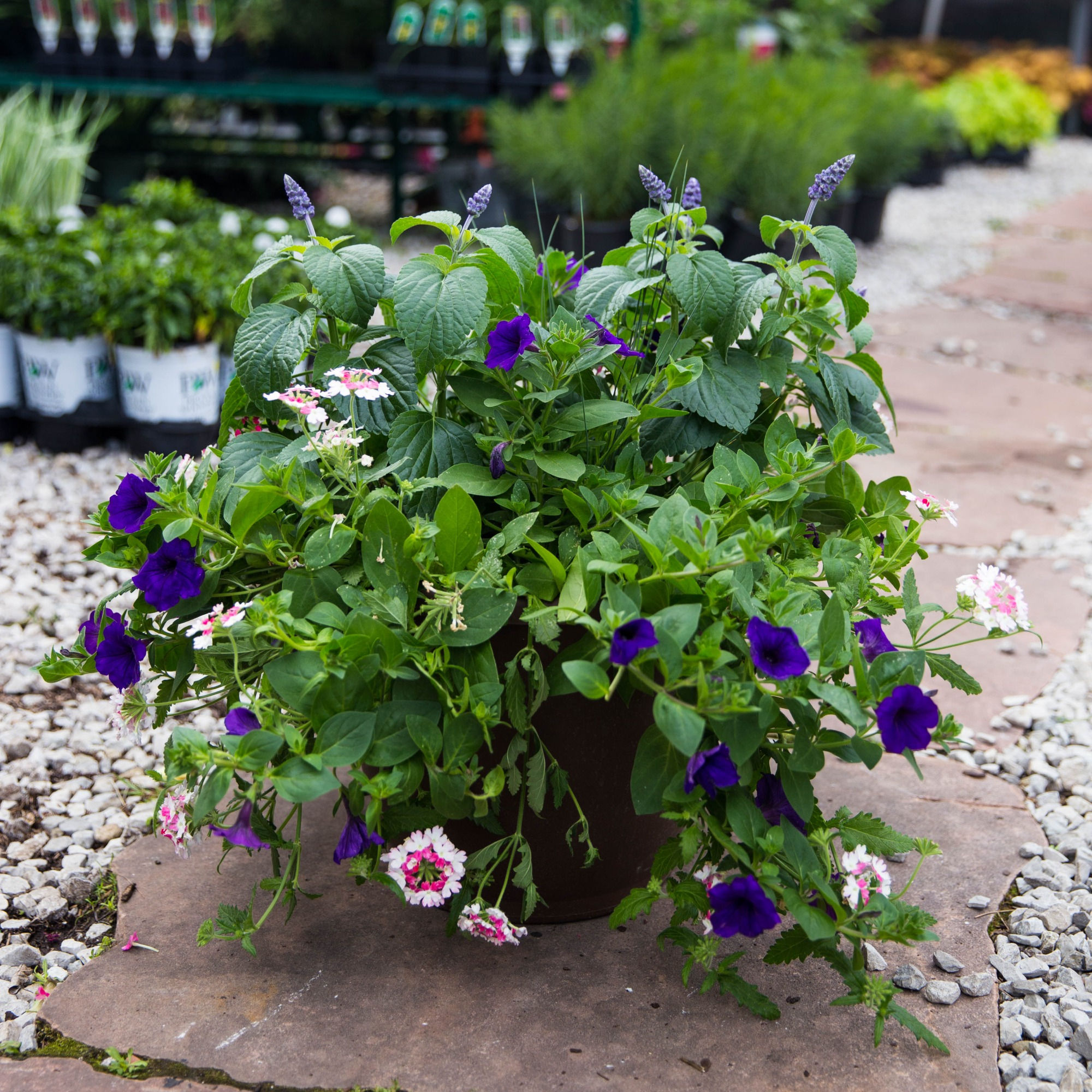 14" Patio Planter