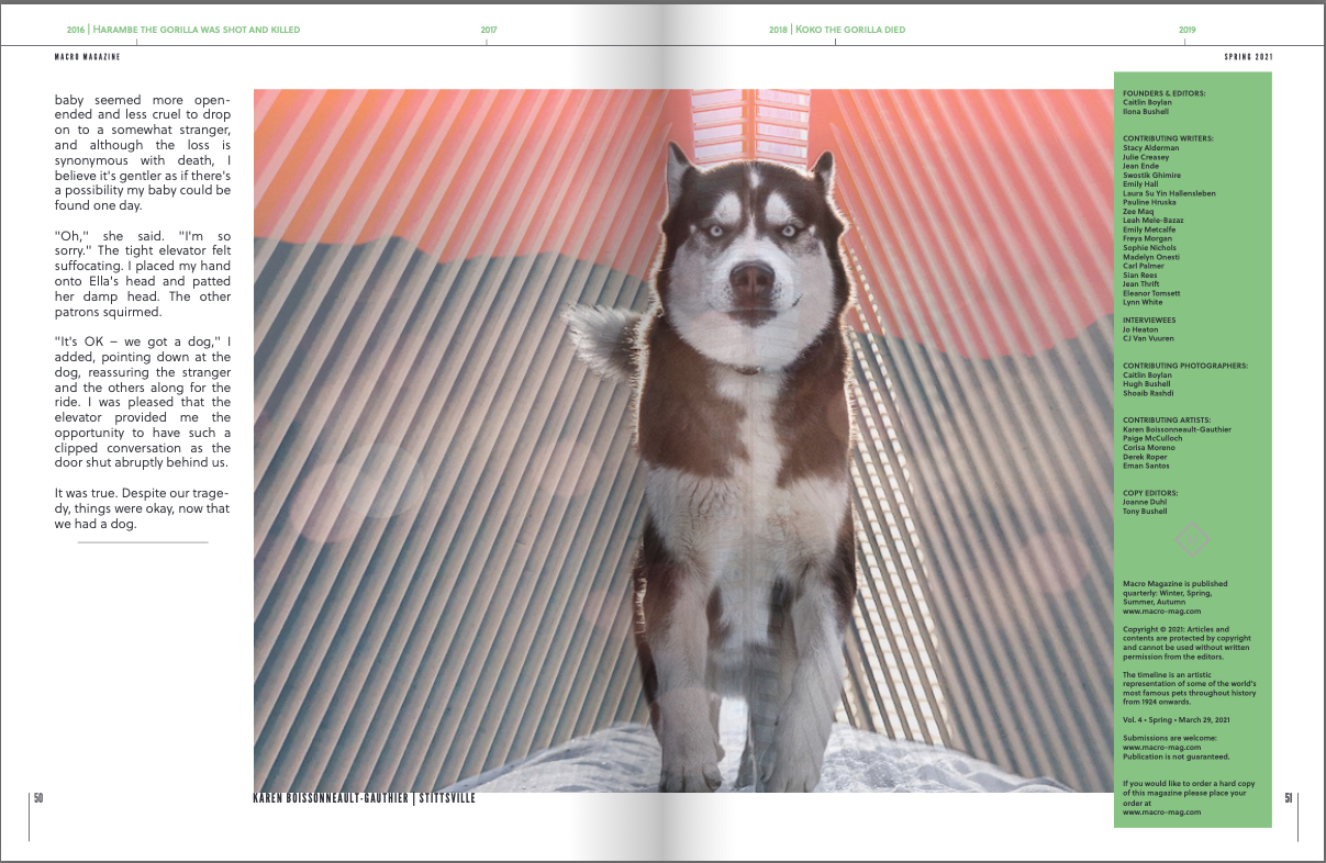 Macro Magazine Spring, 2021