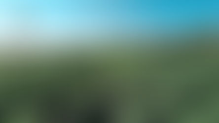 Rows of lush green bushes stretch across a farm under a clear blue sky. Logo reads "Farmaira." Trees line the horizon. Verdant and expansive.