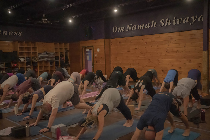 Downward facing dog pose at Raffa Yoga