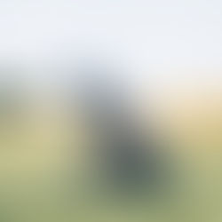 A Closer Look Inside A Golf Bag