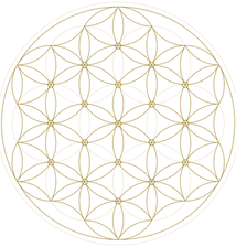 Flower of Life.png