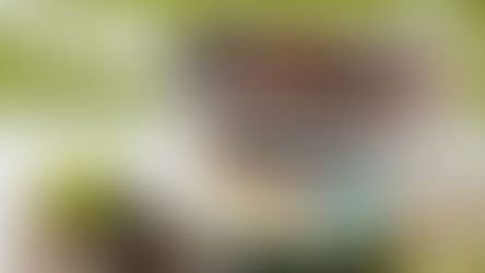 אודות הנוג (nug) 