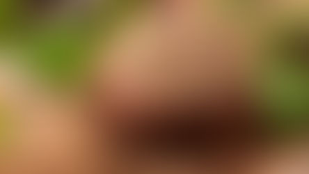 מרכיבי תערובת הצ'וו והיתרונות הבריאותים שלהם, והפעם על גרגירי הכוסברה.