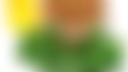 מרכיבי תערובת הצ'וו והיתרונות הבריאותים שלהם, והפעם על החילבה