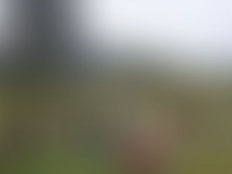 Surprise Outdoor Yoga in Cape Town