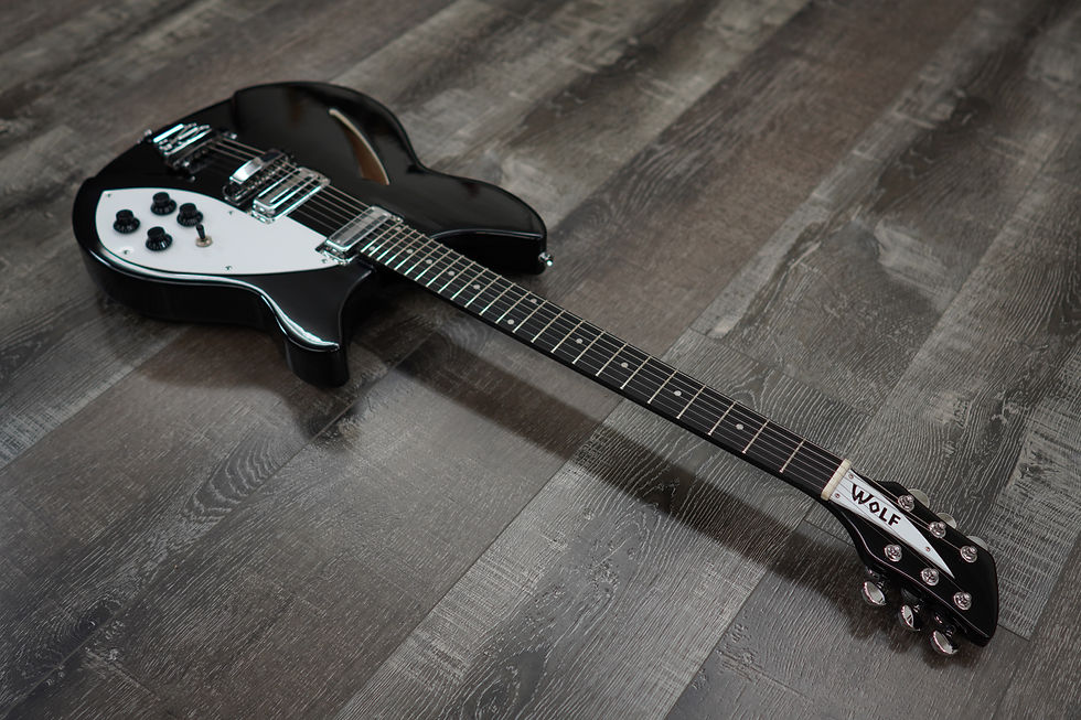 AIO Wolf W300 Electric Guitar - Black | All In One Guitar