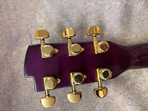 AIO SH-335 Semi-Hollow Electric Guitar - Purple Burst | Your Next