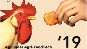 AgFunder Agri-FoodTech Investing Report - 2019