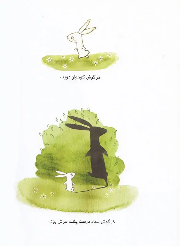 Thumbnail: خرگوش سیاه