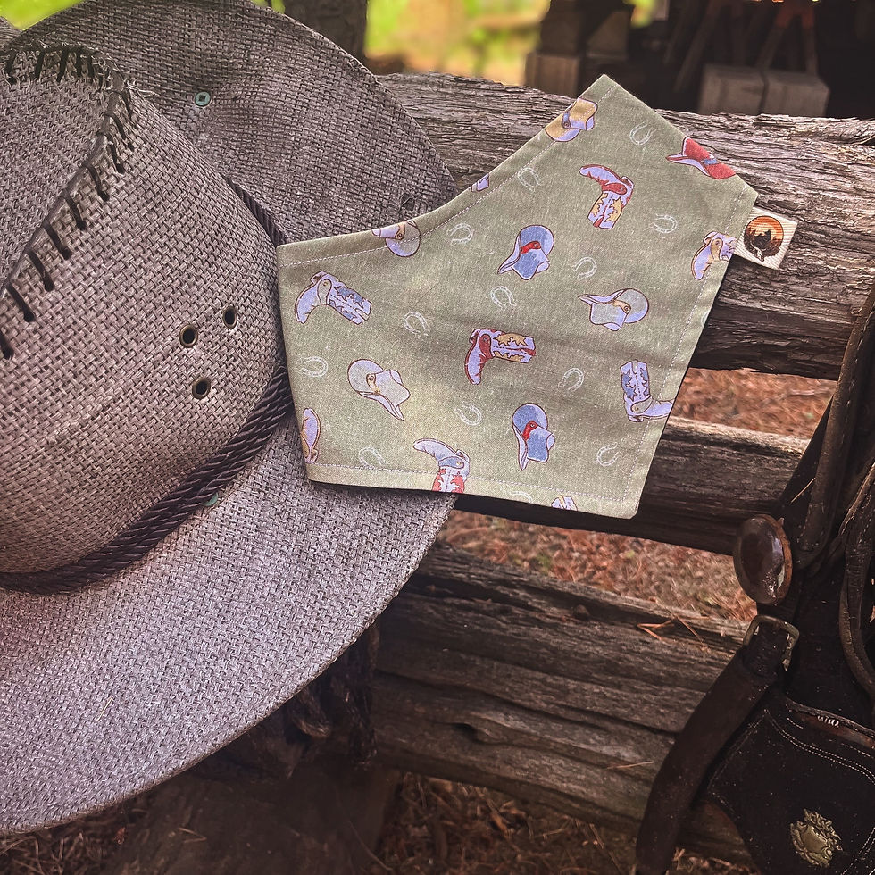 Thumbnail: Wild West Bandana