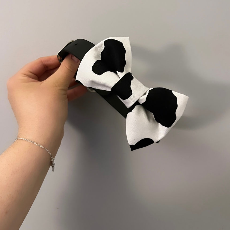 Thumbnail: Bow Ties
