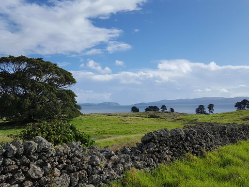 Cultural dissonance: Heritage protests and their implications for heritage-making in settler colonial cities