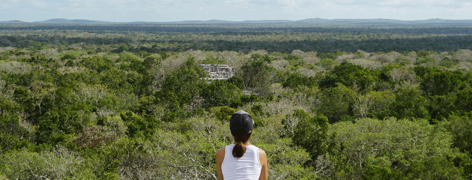 uvodni-tema-mayan.gif