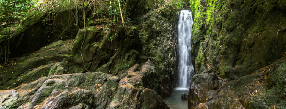uvodni-tema-phuket-thalang.gif