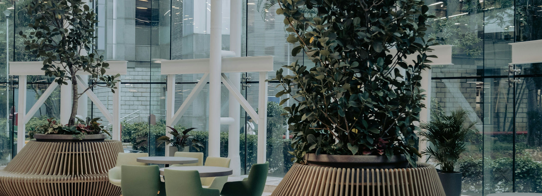 biophilic-interior-design-for-medical-offices.jpg