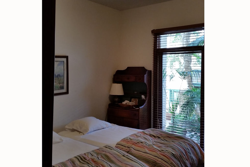 BEFORE-Guest Room