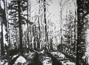Wald, Kohle auf Papier
