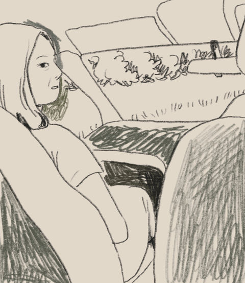 Sketch and development