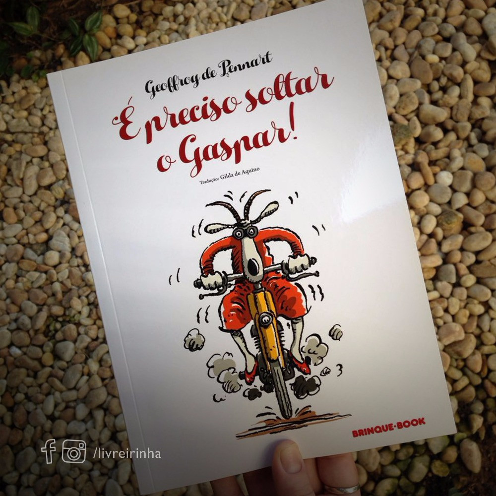 É preciso soltar o Gaspar
