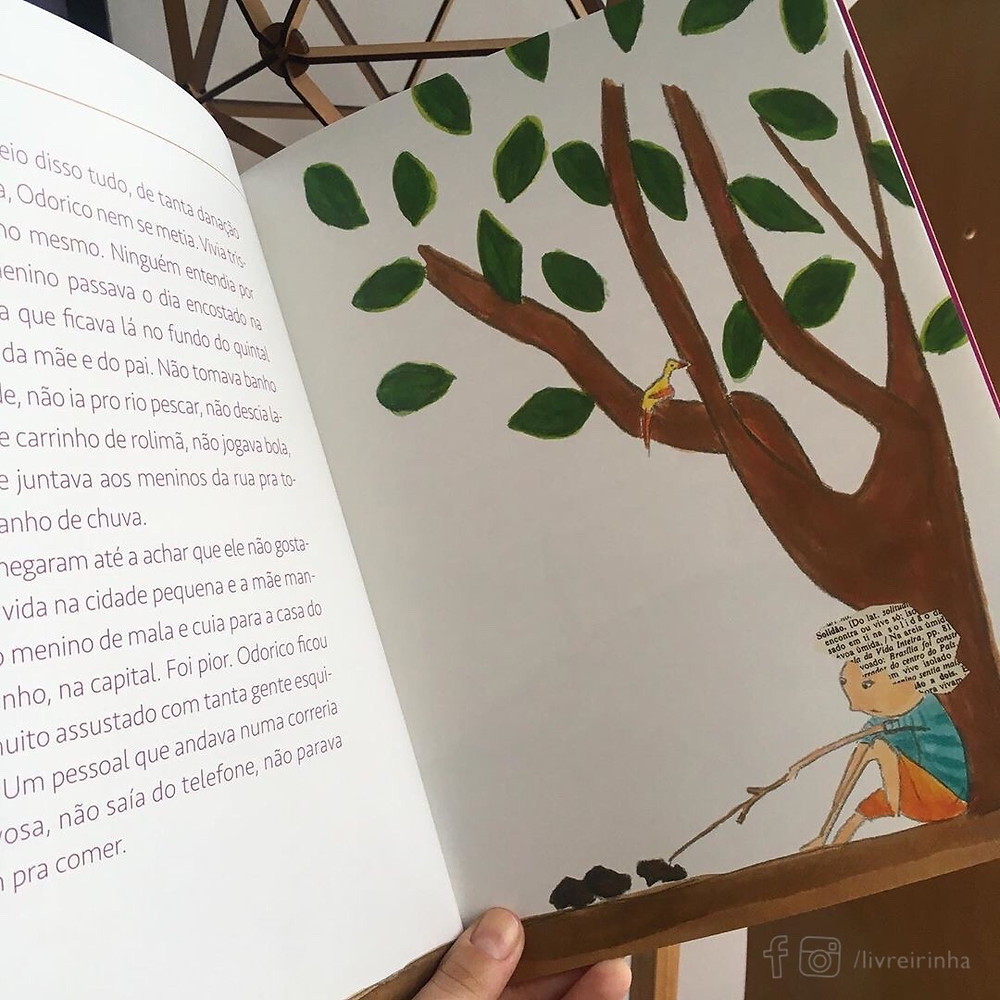 Porco de Casa Cachorro é