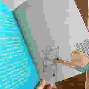 Porco de Casa Cachorro é