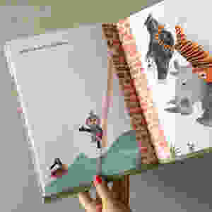 O Muro no Meio do Livro