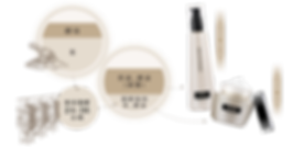 AnaB_Web Banner_88 Premium Royal_4.png