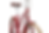 Thumbnail: Public Bike - Womens - M7 Red Size SM
