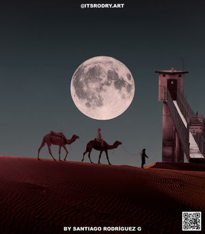 Camels