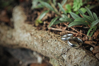 Die Hochzeitsringe auf einem ast mit ein paar Blumen im Hintergrund - Hochzeitsfotograf Kevin Uhlig